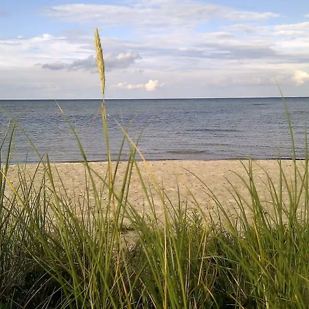 ホリデーパーク & Vandland